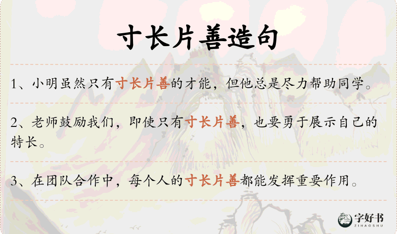 寸长片善