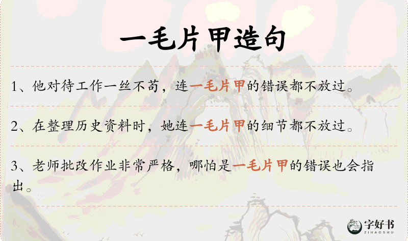 一毛片甲