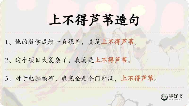 上不得芦苇