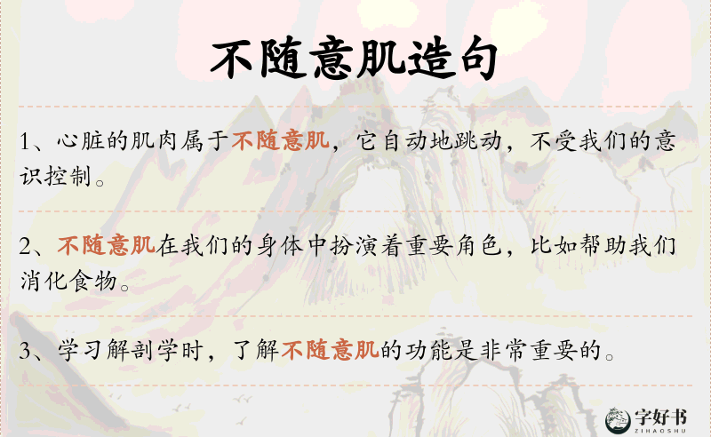 不随意肌