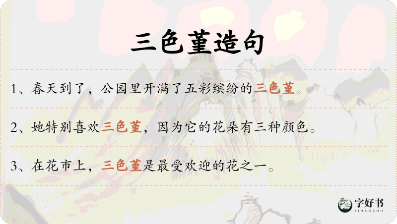 三色堇