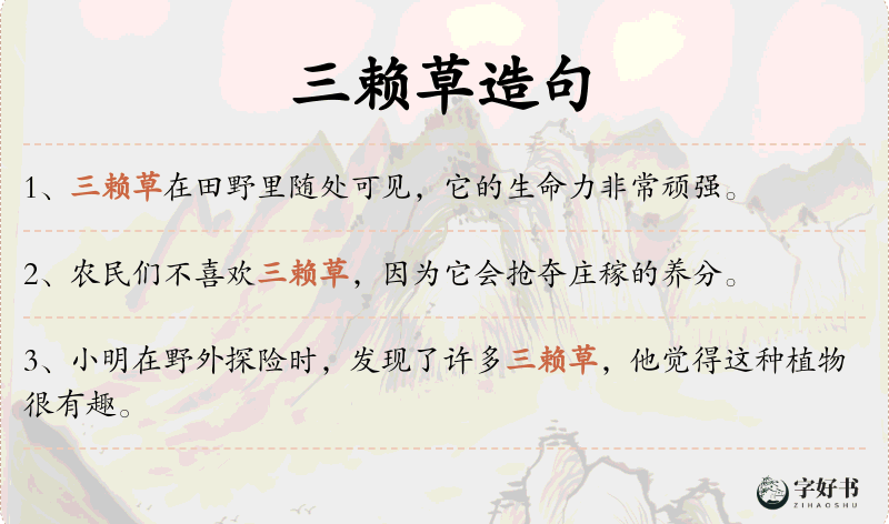 三赖草