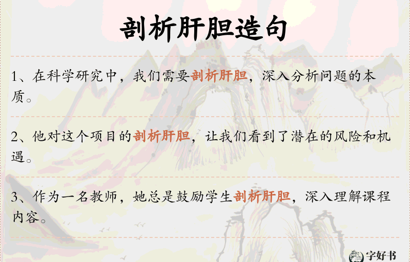 剖析肝胆